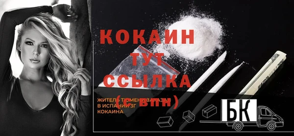 дживик Гусев