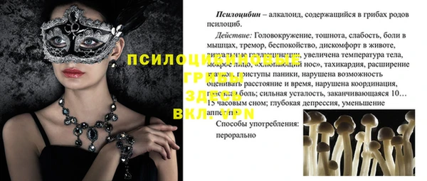 эйфоретик Горно-Алтайск