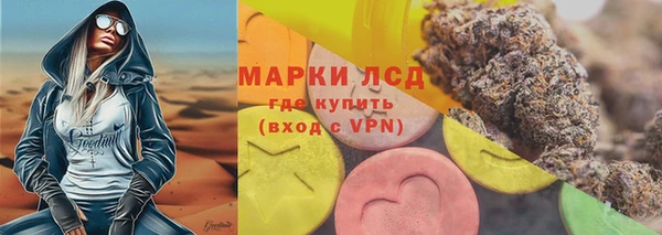 дживик Гусев